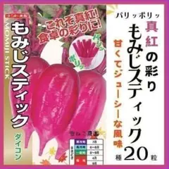 野菜の種】中が鮮やかピンク「あざやか紅心大根」種20粒 収穫約60