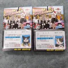 新品☆未開封　なめ猫カード　昭和レトロ　44枚