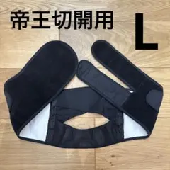 Item thumbnail for item bd82982b-e98e-4245-a9c0-26e1a7d80b48