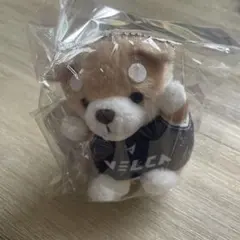長崎ヴェルカ 優勝記念 柴犬ぬいぐるみ キーホルダー