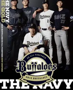 オリックス・バファローズ 2026年 B2イメージポスター　2枚セット