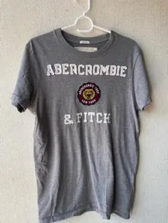 Abercrombie & Fitch Tシャツ L グレー