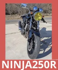 Kawasaki Ninja 250r 才谷屋 北米仕様 - メルカリ