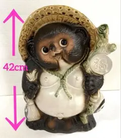 たぬきの剥製約縦60cm - メルカリ