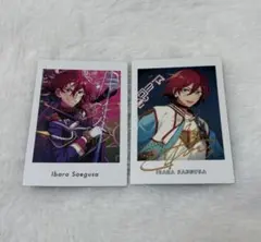 2026年最新】七種茨 ぱしゃこれの人気アイテム - メルカリ