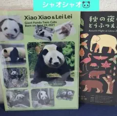 新発売⭐上野動物園⭐シャオシャオ&レイレイフォト⭐ダブルポケットクリアファイル