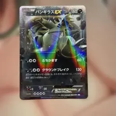 バンギラスEX RR XY7 バンデットリング 042/081 アンリミ①