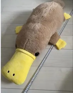 ふわふわカモノハシ あるまど 超BIGぬいぐるみ