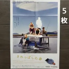 映画　きれっぱしの愛　チラシ　フライヤー　５枚