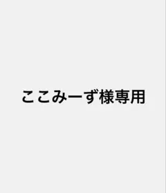 ここみーず様専用