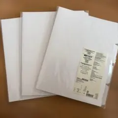 Item thumbnail for item 617046e5-206c-4024-9d2f-bd4a58fba5c9