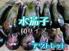 本日朝採り☆水茄子のセット60サイズ直送のサムネイル