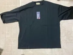 The DUFFER oF ST.GEORGEＴシャツ127130　CT445Ｊ