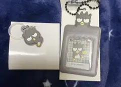 サンリオ ばつ丸 めじるし チャーム ミニチュアチェキ用キーホルダー