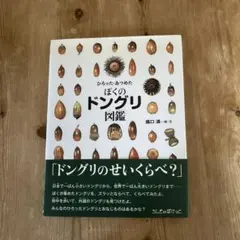2026年最新】ドングリの人気アイテム - メルカリ