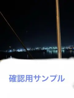 確認用　サンプル