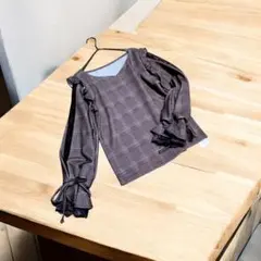 ☆新品タグ付☆INGNI イング 袖割れシアー長袖トップス ブラウン M 完売品