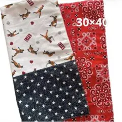 Item thumbnail for item eecd4cab-fde2-4255-a850-1c1d08ecfbf2