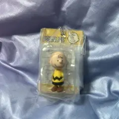 スヌーピー　PEANUTS パッケージミニチュアコレクション　チャーリーブラウン