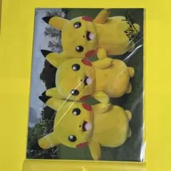 2026年最新】ポケモンセンター クリアカードの人気アイテム - メルカリ