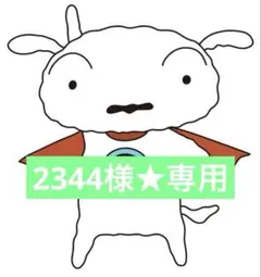2344様★専用