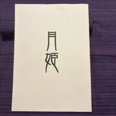 月姫資料集 白本 改訂版 月姫読本 設定資料集 型月 TYPE-MOON - メルカリ