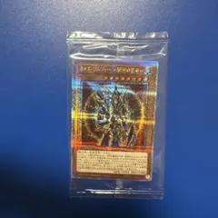 2026年最新】カオスソルジャークオシクの人気アイテム - メルカリ