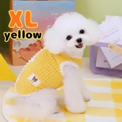 Item thumbnail for item 59822247-cac0-467b-af1c-b1ab06c527f9