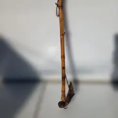 Item thumbnail for item dba125da-d73b-45f1-8389-66e33dcb7eab