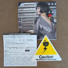 ★椎名林檎『私と放電』初回限定盤　2CD　美品