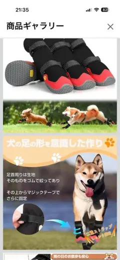 Item thumbnail for item 01d04f8f-b075-4415-9709-d3110eddd934