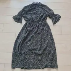 Item thumbnail for item 48b7038b-cac4-44f8-b011-ce51945af332