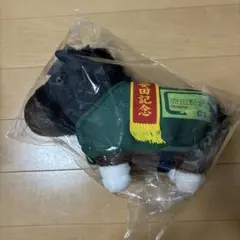 サラブレッドコレクションDMMスクラッチB賞 メジロマックイーン