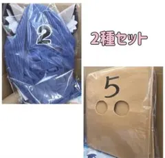 ブルーアーカイブ覆面水着団変身セット