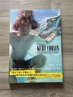 NIRVANA NEVERMIND ニルヴァーナ lp レコード カードコバーン - メルカリ