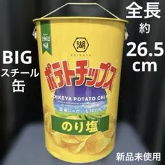 湖池屋★ポテトチップス・のり塩・BIG缶・アミューズメント施設専用・スチール缶