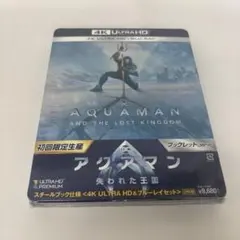 アクアマン失われた王国 スチールブック 新品未開封(4KUHD＋Blu-ray