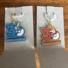 ポケモン 30周年 アクリルキーホルダー メッソン ホゲータ