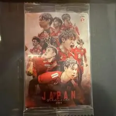 バレーボール男子日本代表 トレーディングカード 集合