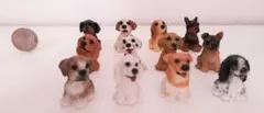 犬　置物　インテリア　12体　セット