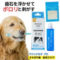 Item thumbnail for item 6667e412-5b6c-4baf-ab3e-d56fb99b3799