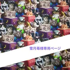 雪月苺様専用ページ