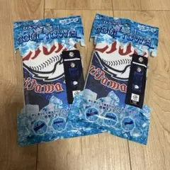 埼玉西武ライオンズ 冷感クールタオル 新品