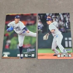 匿名配送★プロ野球チップス2025 第2弾 西武ライオンズ 隅田知一郎 源田壮亮