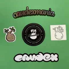 jo92様 リクエスト 2点 まとめ商品