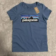patagonia 青 Tシャツ 山デザイン