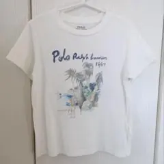 ラルフローレンTシャツ/カジキマグロ サーファーのサムネイル