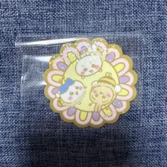 Item thumbnail for item cd733875-3aa2-4baa-9351-35fa9e7ce923