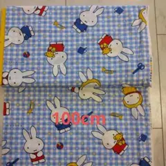 ミッフィー　今から2時間限定価格