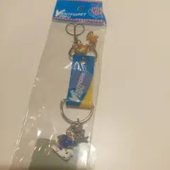 ヴァンフォーレ甲府 × ジェフ千葉 ヴァンくんジェフィ ユニティ